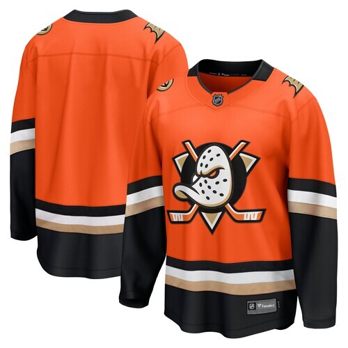 Anaheim ducks nhl ice - anaheim,
