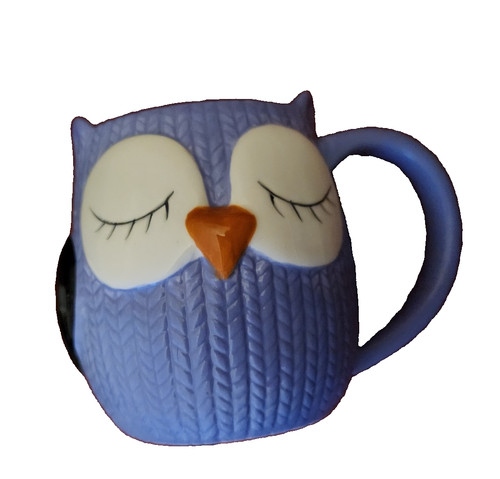Cute blue coloured owl - , mug
