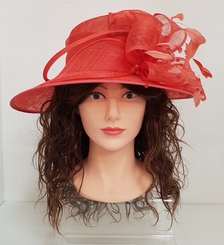 Ladies occasion hat for
