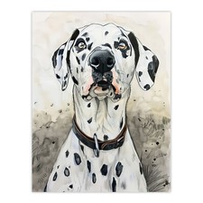 Sweet Gazing Dalmatian Dog