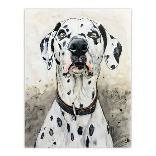 Sweet gazing dalmatian dog - gazing,