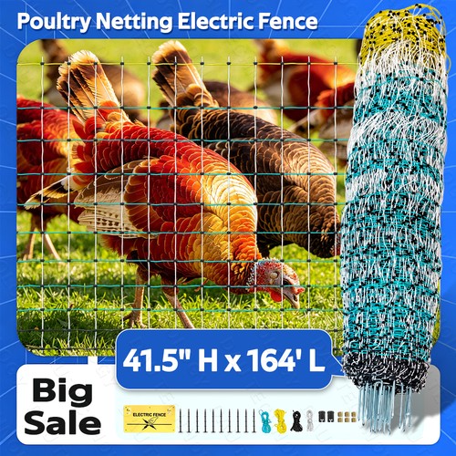 Durable portable electric - durable,