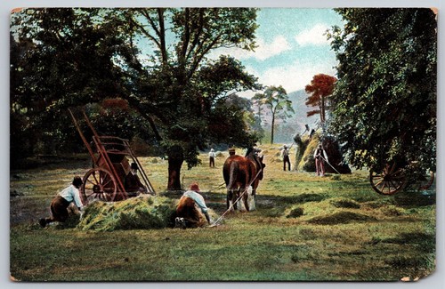 Vintage hay harvest rural - hay,