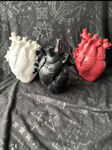Three resin cast anatomical