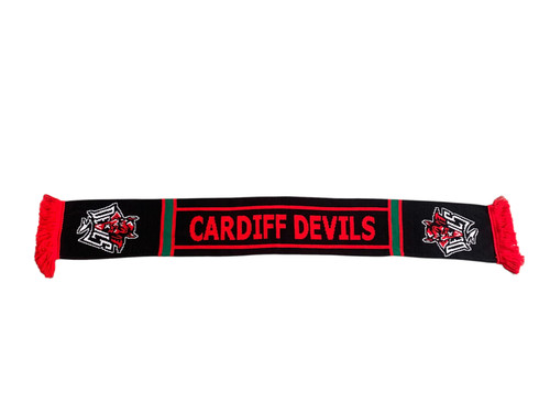 Cardiff devils ice hockey - cardiff,