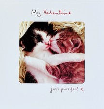 My Valentine Just Purr-Fect ~