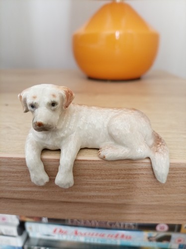 Cute vintage labrador - cute!,