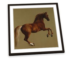 George Stubbs Whistlejacket FRAMED ART PRINT Picture Square Artwork