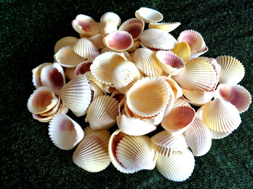 White yellow pink - x,