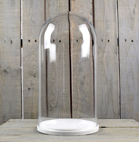 Large glass dome - cover, cloche
