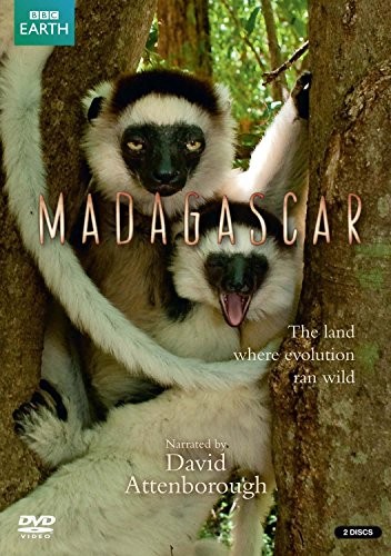 Madagascar dvd 5eln - ,