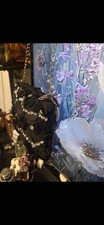 Women's New Fashion Evening