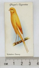 1933 John Player & Sons Aviary & Cage Birds 4 Yorkshire Canary