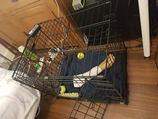 Small Black Metal Folding Animal Cage Crate Transport Dog miniature poodle -TN14