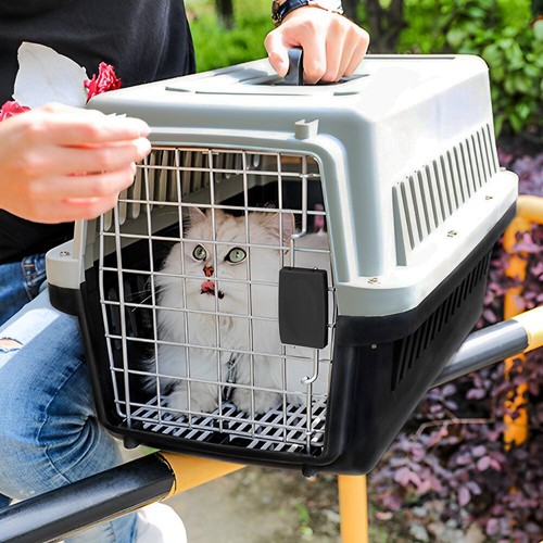 Large cat carrier box - large,