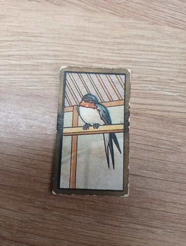 Cigarette card chinese 14 - chinese, no.14