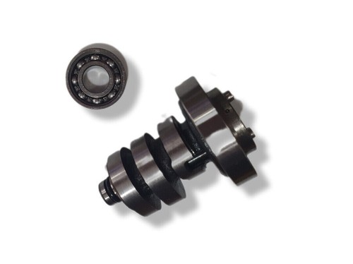 Camshaft complete with - complete,