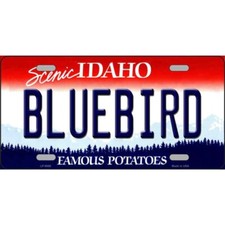 Bluebird Idaho Novelty Art