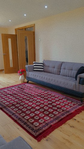 Rugs for living - for, ×8