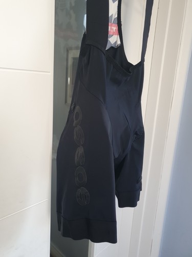 Assos equipe evo bibshorts - equipe,