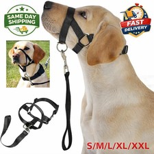 Halti Headcollar Non Pull Dog