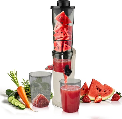 Cold press juicer slow - press,