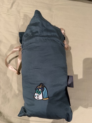 Travel sleeping bag - travel,