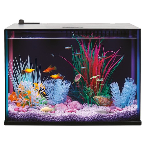 Top fin custom colorflow - fin,