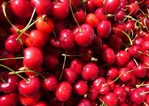 Stella cherry fruit tree - stella,
