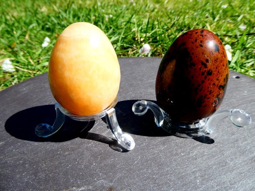 Clear perspex egg - 10,