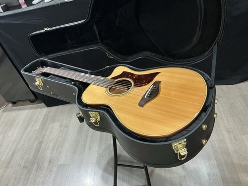Yamaha ac1m series cutaway - series,