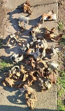 Various Scaffolding Scaffold