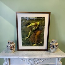 Narcissus John William