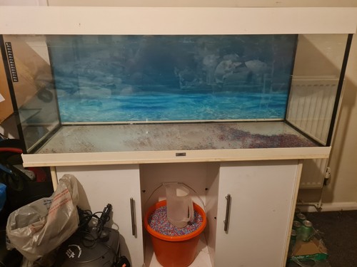 4ft fish aquarium with - aquarium, the