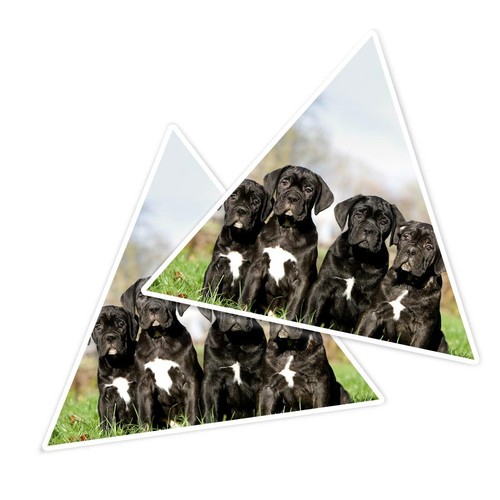 Triangle shape vinyl - triangle,