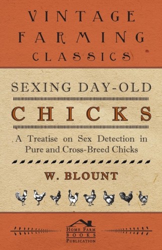 Blount sexing day old chicks - sexing,