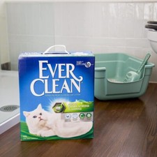 Ever Clean Clumping Cat Litter