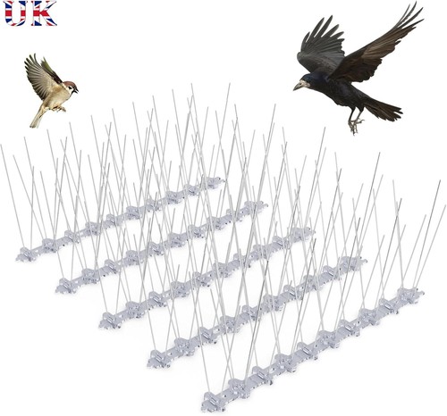 Pigeon spikes fence uksteel - fence,