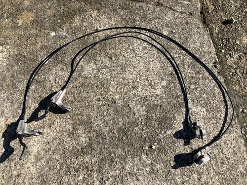 Hayes nine carbon - hayes,