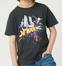 MARVEL Spiderman × graniph