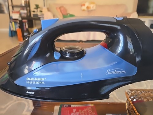 Sunbeam steam master - steam,