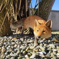Vivid Arts - Realistic Prowling Fox - Size B