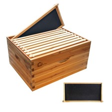 10 Frame Langstroth Bee Hive