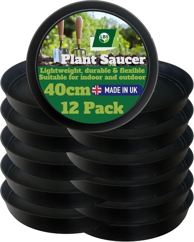 Pack 40cm black plant - of, 12