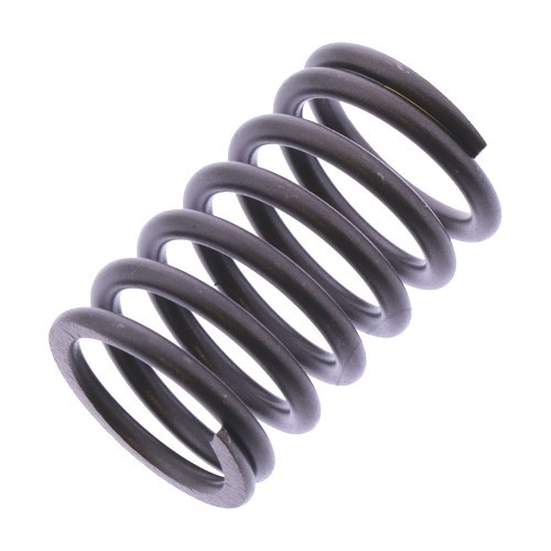 Valve spring 7471960 fits - valve,