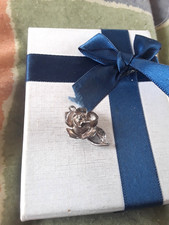 SILVER CHARM NUVO FLOWER OPENS