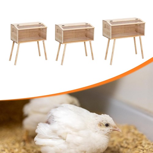 Chicken brooder box quail coop - brooder,