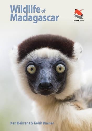 Wildlife madagascar ken - wildlife,