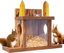 Carbonized Wooden Squirrel