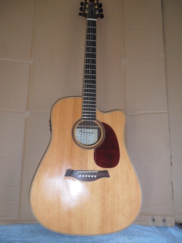 Electro acoustic guitar six - electro,